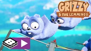 Grizzy i Lemingi | Wielki wentylator | Cartoonito