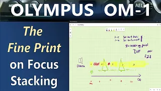 OM System OM-1 Computational Focus Stacking Part 2   The Fine Print