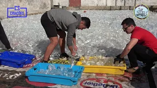 Batalha das Limas (preparativos) carregar o camião dos "Sempre Presentes" para a batalha 20-2-2023