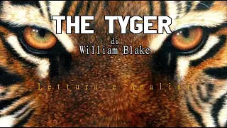 Letteratura Inglese | William Blake (2 di 2): analisi di "The Tyger" (Songs of Experience)