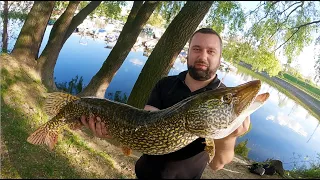 Epic Fishing - krupna stuka na mepps moj rekord na divljim vodama reka Sava - Big Pike spinfishing