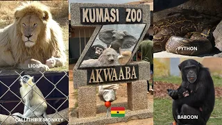 KUMASI ZOOLOGICAL GARDENS🇬🇭 | Kumasi Zoo | Daily Vlog 7