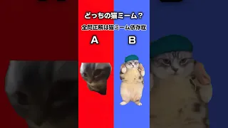 あなたの猫ミーム依存度はどれくらい？全問正解できたらすごい！！#猫ミーム #猫ミーム日常 #クイズ