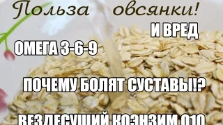 ПОЛЬЗА и ВРЕД ОВСЯНКИ, ОМЕГА 3-6-9, ПОЧЕМУ БОЛЯТ СУСТАВЫ, Коэнзин Q10