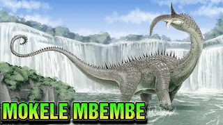 Mokele Mbembe - Dinosaurio Africano : Avistamientos y encuentros Criptozoologia