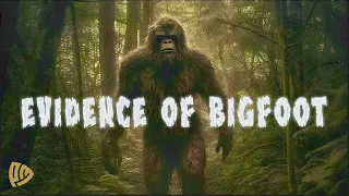 ‘Evidence of Bigfoot’ - Whitehall Bigfoot Documentary Series