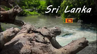 Sri Lanka Nature Cinematic video [ Shot on iphone 7 ]