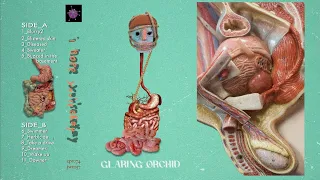 Glaring Orchid - i hope you're okay (Full album)