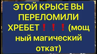 ЭТОЙ КРЫСЕ ВЫ ПЕРЕЛОМИЛИ ХРЕБЕТ❗️❗️❗️(МОЩНЫЙ МАГИЧЕСКИЙ ОТКАТ)