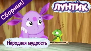 Народная мудрость ☝️ Лунтик ☝️ Сборник мультфильмов 2018