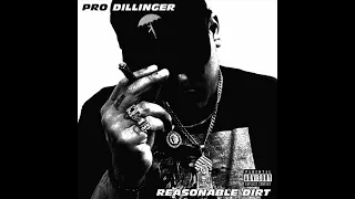 Pro Dillinger - Reasonable Dirt (Album)