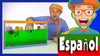 Blippi Español Hundír o Flotar | Experimentos Científicos Divertidos para Niños