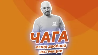 Чага. Как приготовить двойной экстракт?