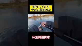 [化物]バス釣りしてたらやばい巨大魚釣れた　#shorts