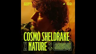 Cosmo Sheldrake - Soil ft. Nature