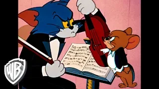 Tom y Jerry en Latino | Descubre la música | WB Kids