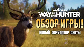 Way of the Hunter - Полный ОБЗОР ИГРЫ | Карты, сюжет, охота, животные, геймплей и баги