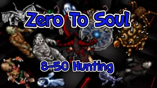 Zero to Soul - 8-50 Hunting spots