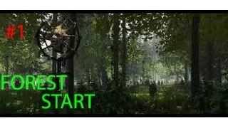 The Forest #1 Будем искать сына)