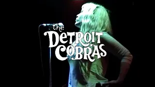 THE DETROIT COBRAS - Live in Buffalo, NY, 2004, FULL SHOW! Showplace Theatre, May 24, 2004