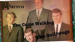 You Came Walking (A Mono To True Stereo Mix) - The Golliwogs (Creedence Clearwater Revival)