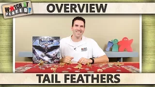 Tail Feathers - Overview