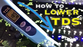 How to Lower TDS in an Aquarium