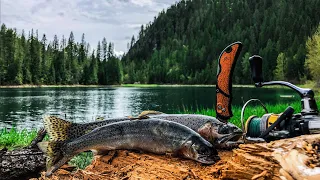 Mountain Lake Cutthroat Trout Catch & Cook (Spring Fishing)