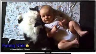 Funny Video - cat and baby