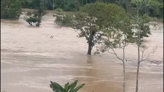 Yawanawa village flooding