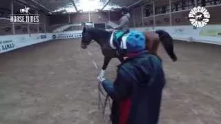"Русский Алмаз" передал детям коня для выездки
