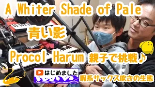 【青い影】【A Whiter Shade of Pale】【Procol Harum】親子で挑戦♪