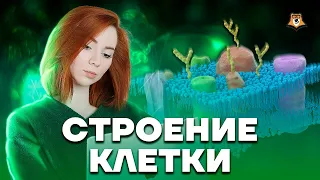 Строение клетки | Биология ЕГЭ 2023 | Умскул