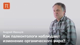 Иванцов - Палеонтологические обоснования теории эволюции