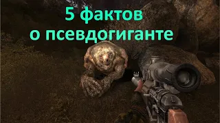 5 фактов о Псевдогиганте - S.T.A.L.K.E.R.