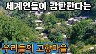 전세계인이 환호 한다는 600백년된 국내최고 추억의 고향마을