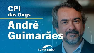 Ao vivo: CPI das ONGs ouve diretor do Instituto de Pesquisa Ambiental da Amazônia (Ipam) – 17/10/23