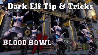 Dark Elf Coaching : Starting Lineup, Tips & Tricks [Blood Bowl 2]