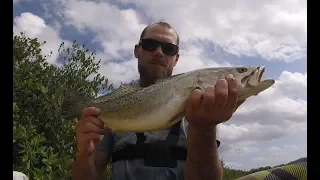 Kayaking the Mosquito Lagoon for BIG Trout and Red Fish