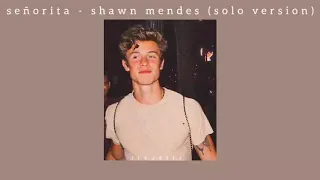 señorita - shawn mendes (solo version) | lyrics