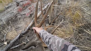 S:7 E:6 DIY Mule Deer Rugged Hunt with Remi Warren of SOLO HNTR
