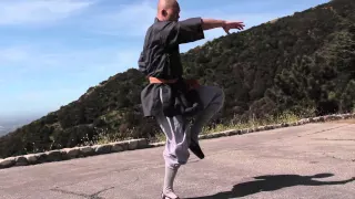 Master Shi Yan Yue Demonstrates Shaolin Lian Huan Quan 連環拳示範