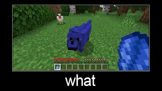 Minecraft wait what meme part 23 (blue wolf)