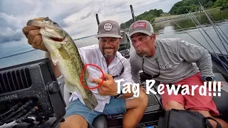 Caught a Fish with $REWARD$ Tag - First Time EVER!!