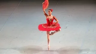 Maria Vinogradova and Ivan Vasiliev "Don Quixote" 07.06.19