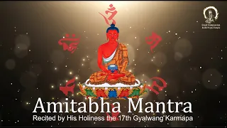 Amitabha Buddha Mantra Chanted by H.H. 17th Karmapa Ogyen Trinley Dorje | 阿彌陀佛心咒 第十七世大寶法王唸誦