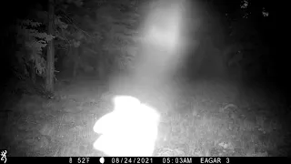 Strange Trail Cam Footage! Ghost Maybe ? Naw, Just Weird Stuff