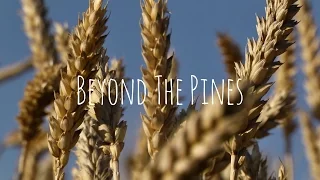 Beyond the Pines - Landscape Short Film