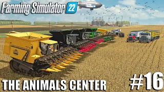 Harvesting 250.000 LITERS of CORN and OATS | Animals Center #16 | Farming Simulator 22