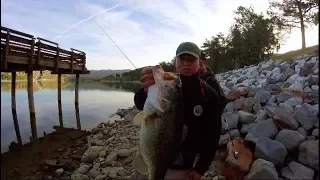 MONSTER Bass At Castaic Lagoon And Poachers at castaic !